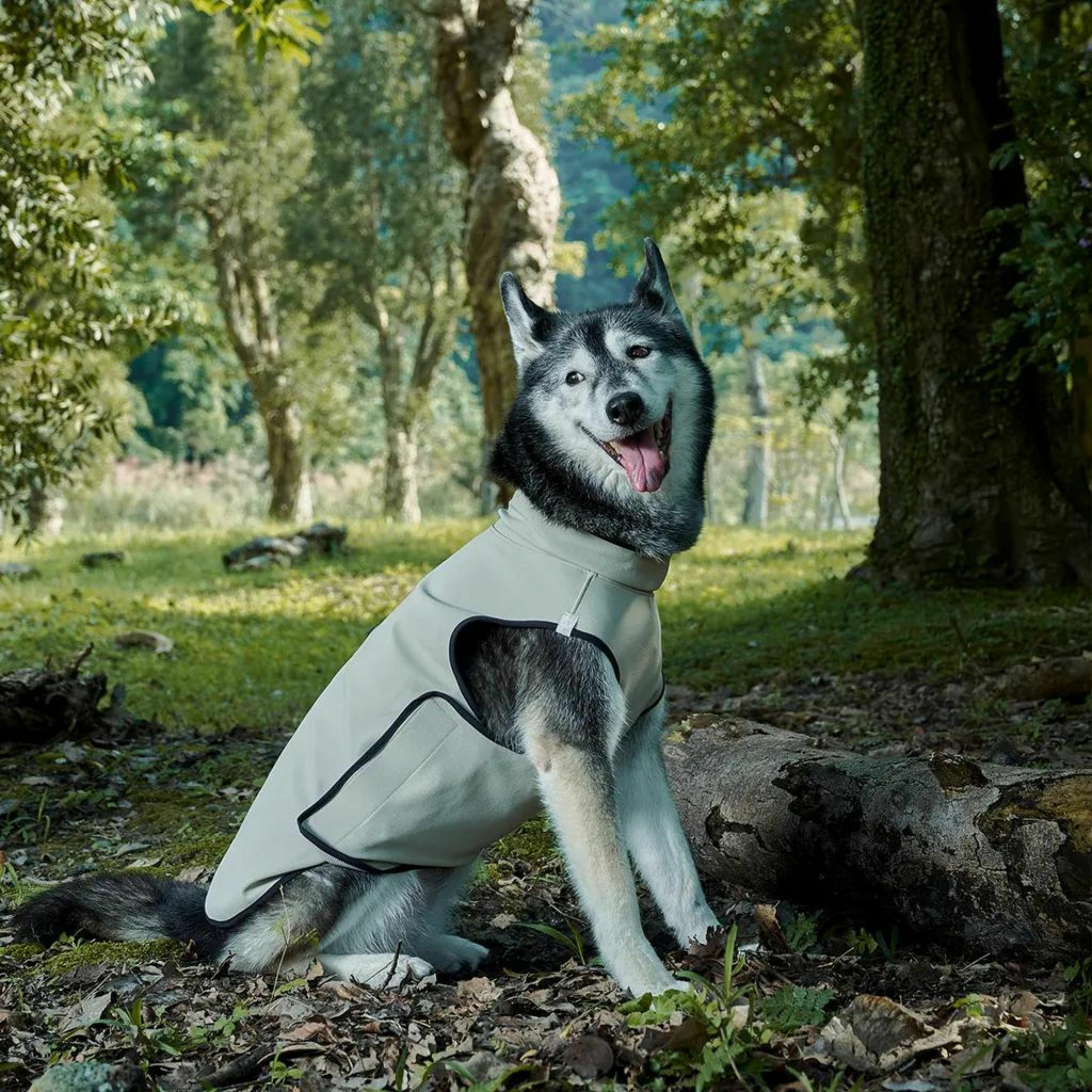 防潑水透氣跑跑衣·台灣製造 牽繩洞設計