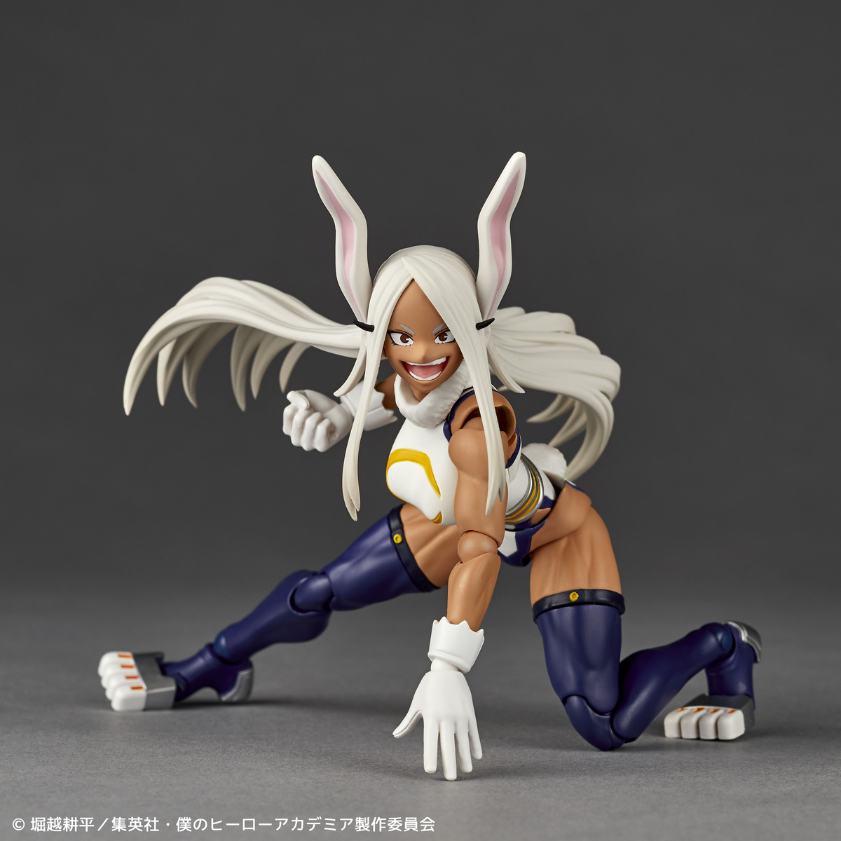 「ACG.GO」「預購」日版 Kaiyodo海洋堂 Revoltech 米爾科 我的英雄學院 PVC Figure
