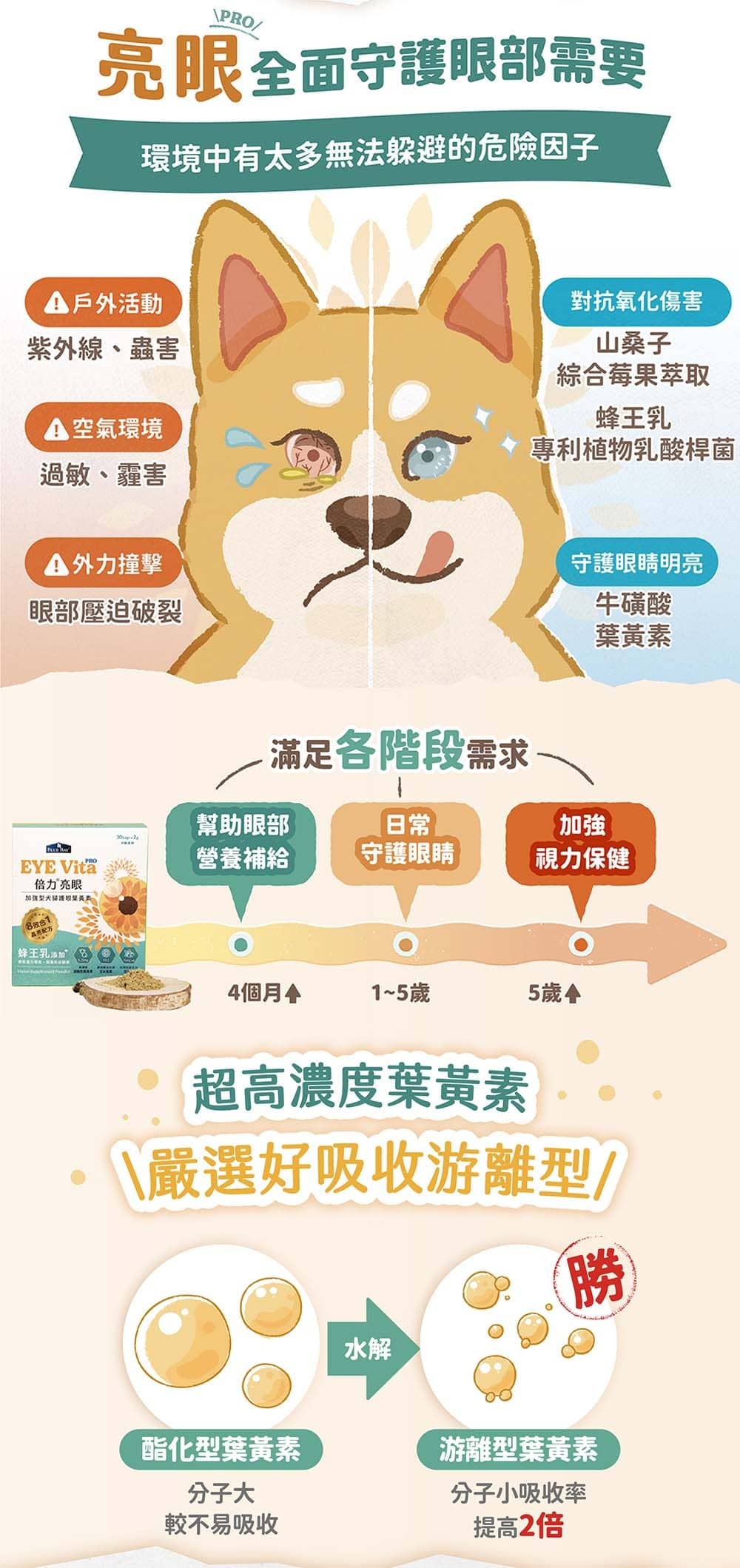 亮眼PRO全面守護眼部需要，對抗氧化傷害、堅固免疫防護罩、守護眼睛明亮