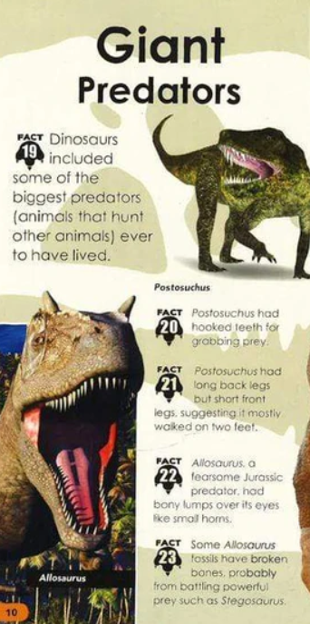Over 100 Facts For Kids: Dinosaurs
