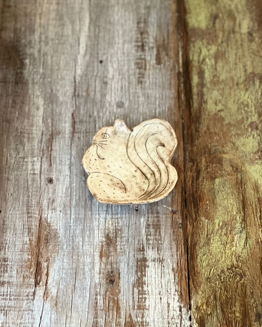 Shigaraki ware Aimo Squirrel Sauce plate｜Kouichi Maekawa