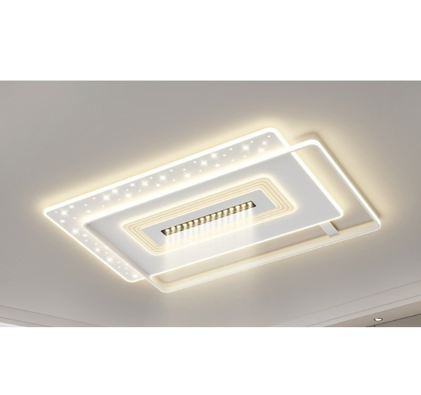 New ceiling lamp [F type-living room lamp-110x70cm]