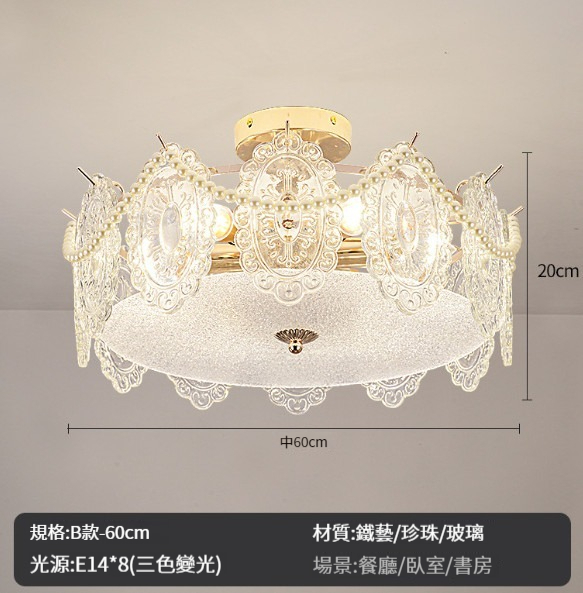 New ceiling lamp [8810 60CM-three-color light]