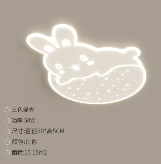 Hot selling ceiling lamp [D type bedroom lamp: 50cm-50w]