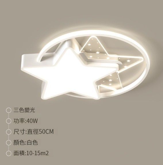 Hot selling ceiling lamp [C style bedroom lamp: 50cm-40w]