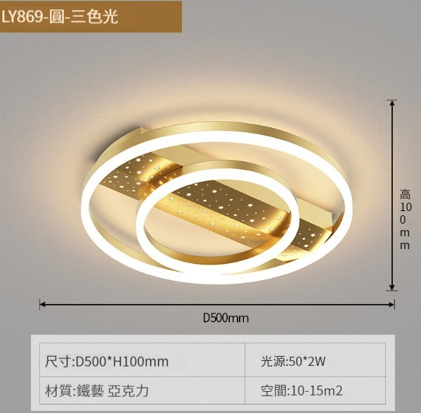 Hot Selling Modern Simple Ceiling Lamp [869 Model-Golden Circle 50CM]