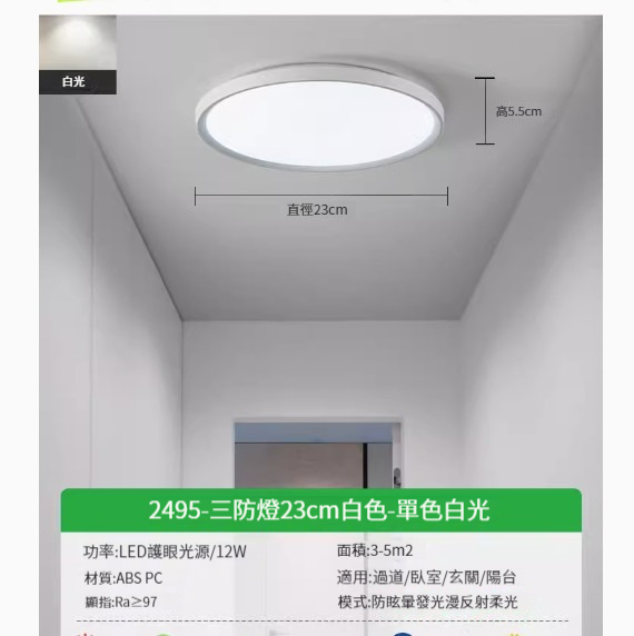 Popular LED ceiling lamp [2495-white 23cm-white light-12W]