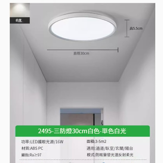 Popular LED ceiling lamp [2495-white 30cm-white light-16W]