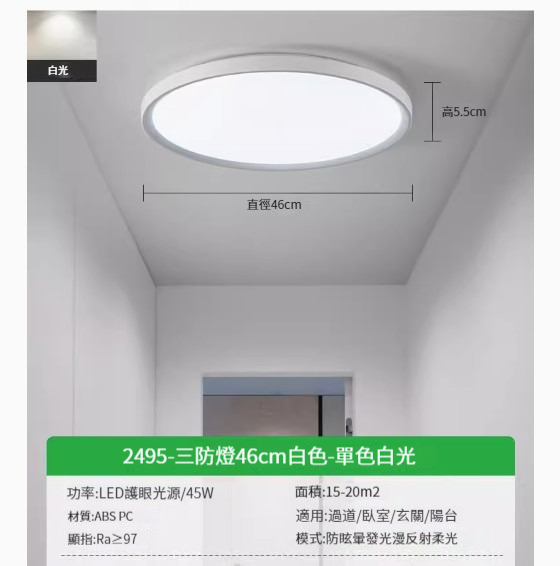 Popular LED ceiling lamp [2495-white 46cm-white light-45W]