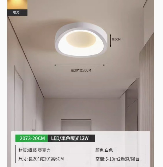 Hot style simple ceiling lamp [2073-20cm white-monochrome warm light]