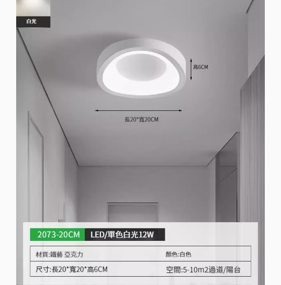 Popular simple ceiling lamp [2073-20cm white-monochrome white light]
