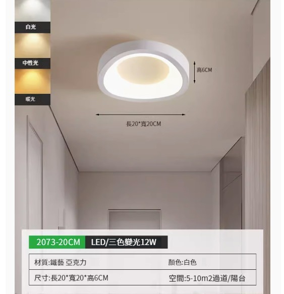 Popular simple ceiling lamp [2073-20cm white-three-color dimming]
