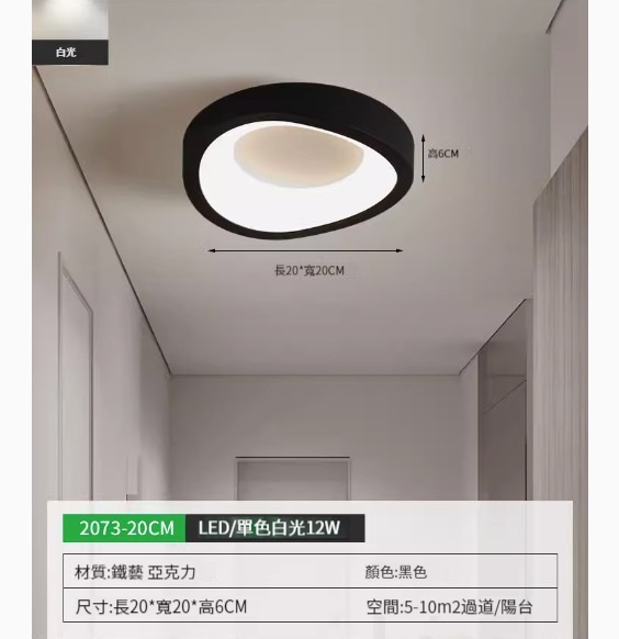 Popular simple ceiling lamp [2073-20cm black-monochrome white light]