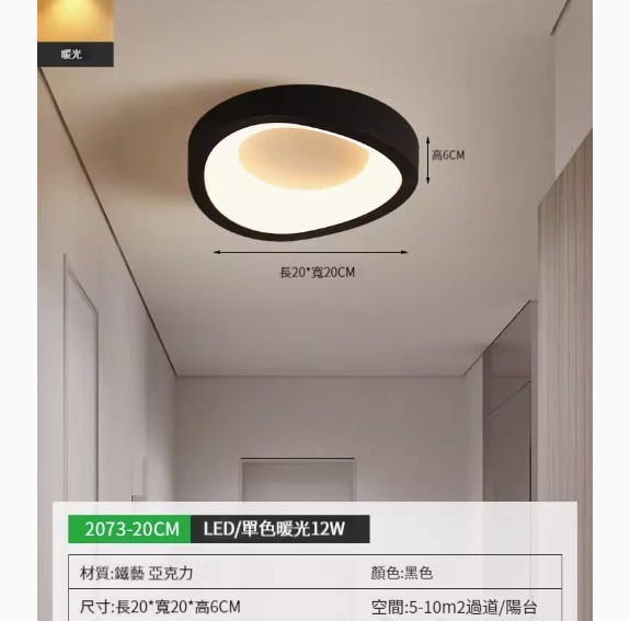 Popular simple ceiling lamp [2073-20cm black-monochrome warm light]