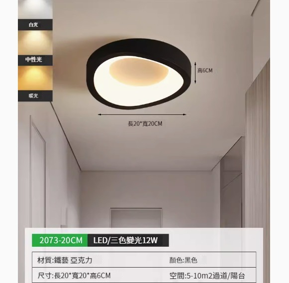 Popular simple ceiling lamp [2073-20cm black-three-color dimming]