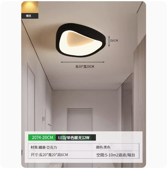 Popular simple ceiling lamp [2074-20cm black-monochrome warm light]