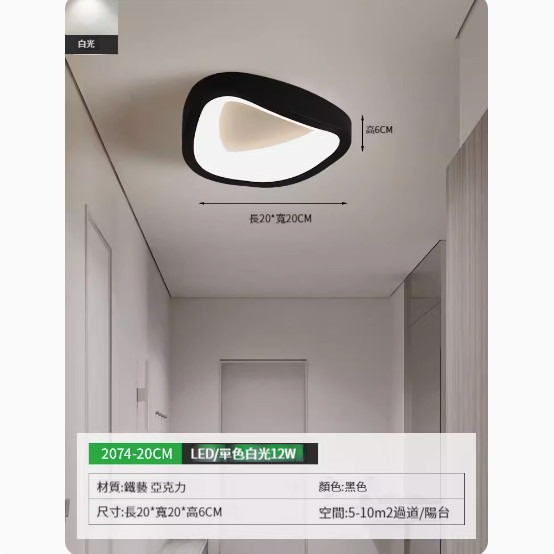 Popular simple ceiling lamp [2074-20cm black-monochrome white light]