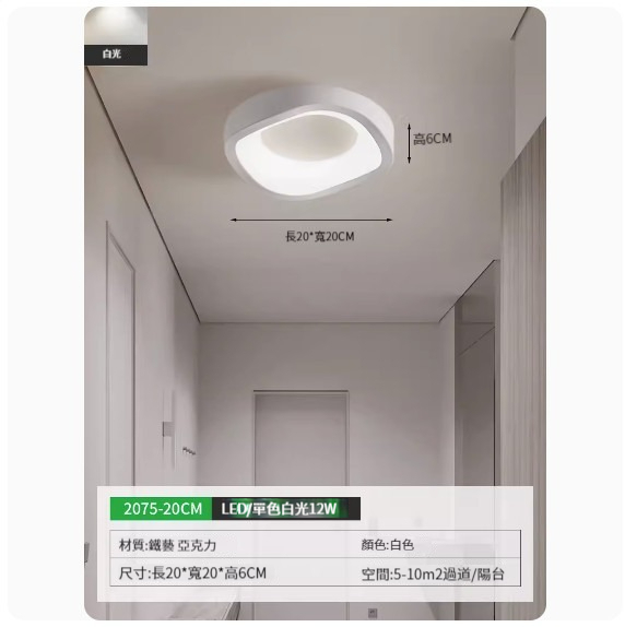 Hot style simple ceiling lamp [2075-20cm white-monochrome white light]