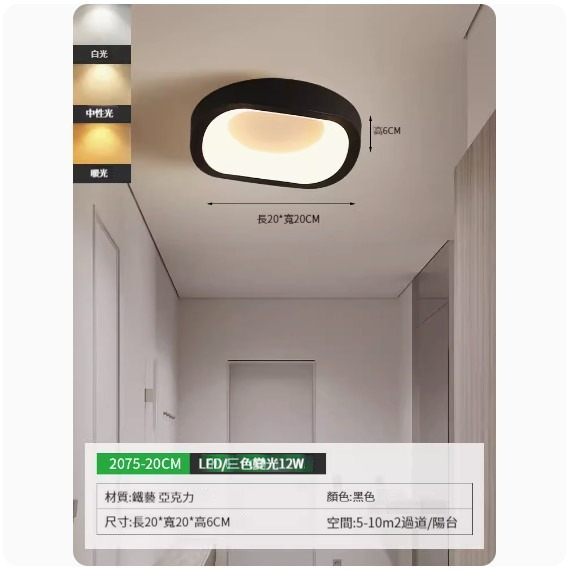 Popular simple ceiling lamp [2075-20cm black-three-color dimming]