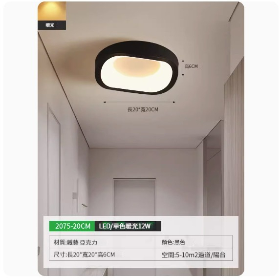 Hot style simple ceiling lamp [2075-20cm black-monochrome warm light]