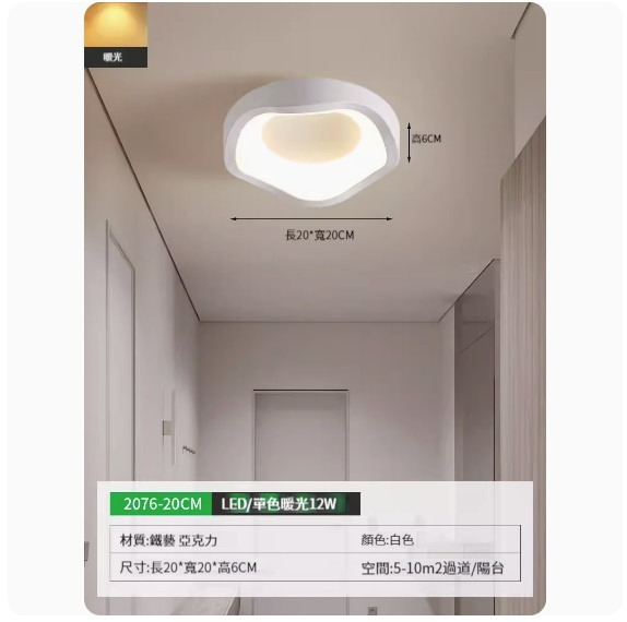 Popular simple ceiling lamp [2076-20cm white-monochrome warm light]