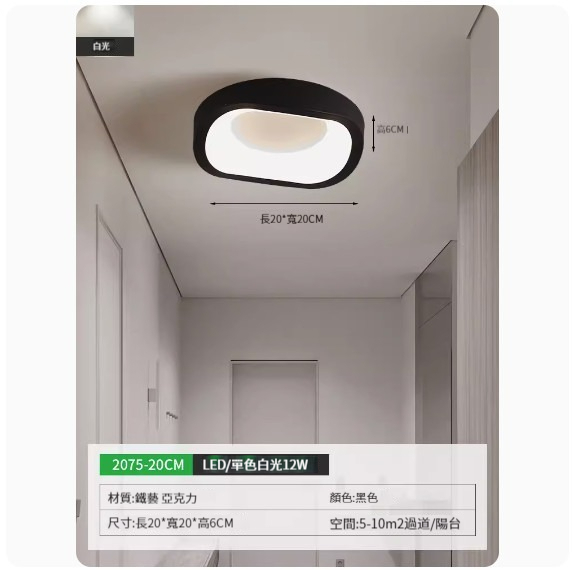 Popular simple ceiling lamp [2075-20cm black-monochrome white light]