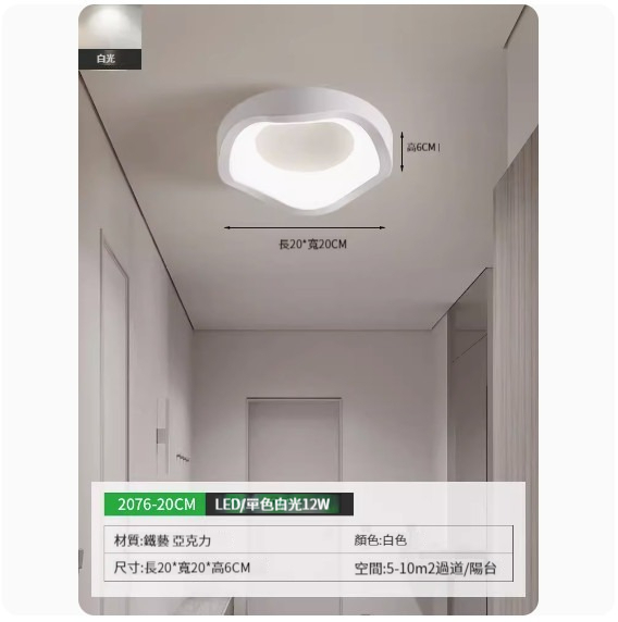 Popular simple ceiling lamp [2076-20cm white-monochrome white light]