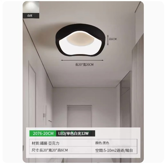 Popular simple ceiling lamp [2076-20cm black-monochrome white light]