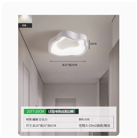 Popular simple ceiling lamp [2077-20cm white-monochrome white light]