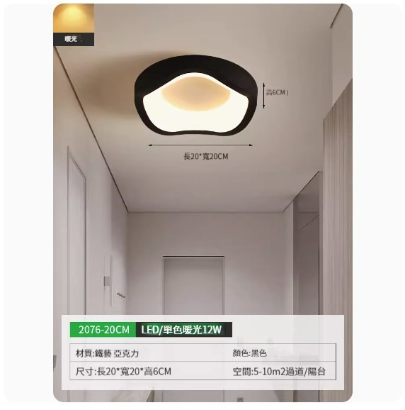Popular simple ceiling lamp [2076-20cm black-monochrome warm light]