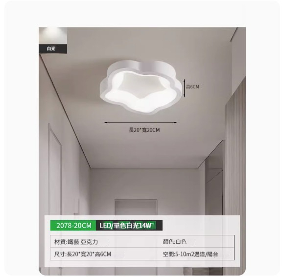 Popular simple ceiling lamp [2078-20cm white-monochrome white light]