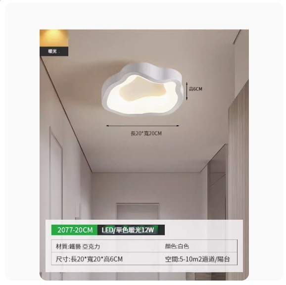 Popular simple ceiling lamp [2077-20cm white-monochrome warm light]