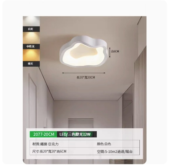Popular simple ceiling lamp [2077-20cm white-three-color dimming]