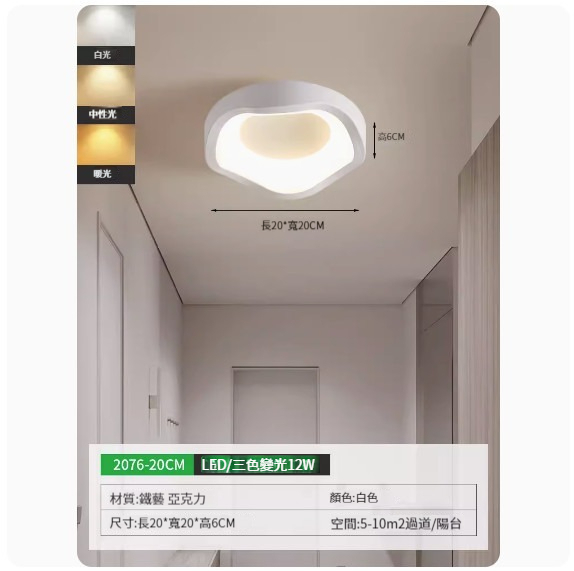 Popular simple ceiling lamp [2076-20cm white-three-color dimming]