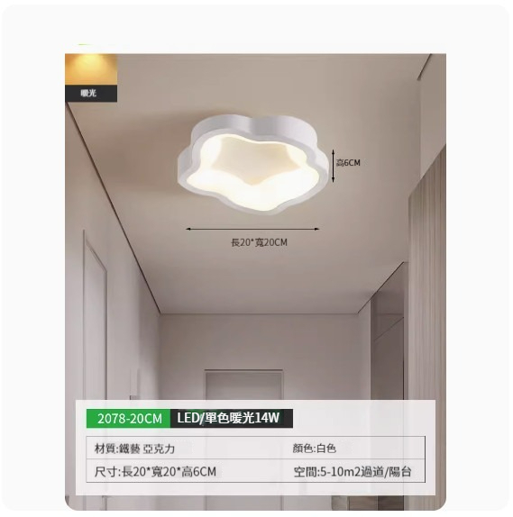 Popular simple ceiling lamp [2078-20cm white-monochrome warm light]