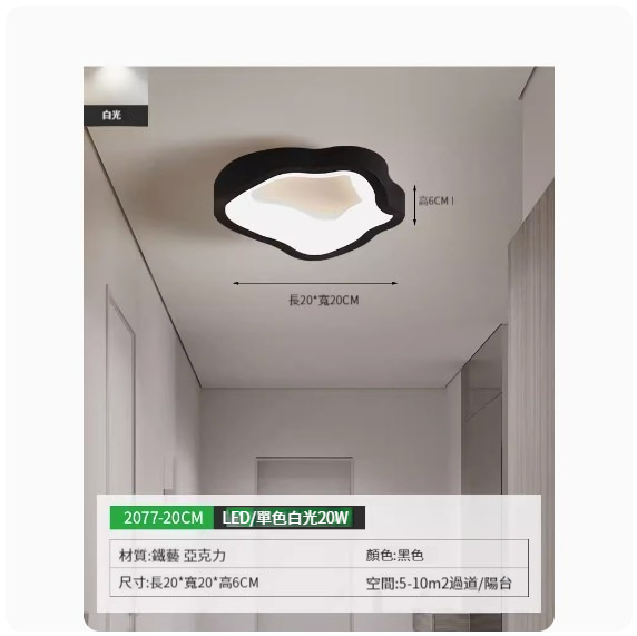 Popular simple ceiling lamp [2077-20cm black-monochrome white light]