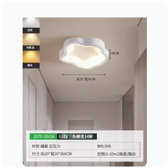 Popular simple ceiling lamp [2078-20cm white-three-color dimming]