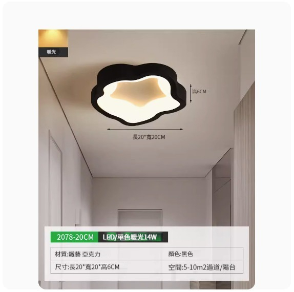 Popular simple ceiling lamp [2078-20cm black-monochrome warm light]
