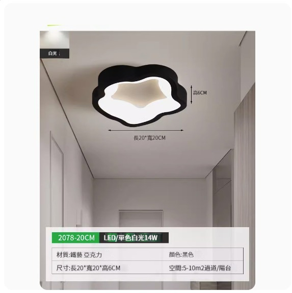 Popular simple ceiling lamp [2078-20cm black-monochrome white light]