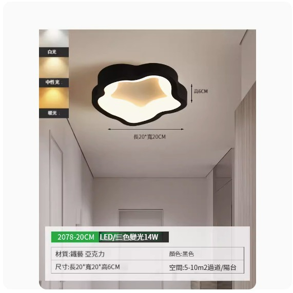 Popular simple ceiling lamp [2078-20cm black-three-color dimming]