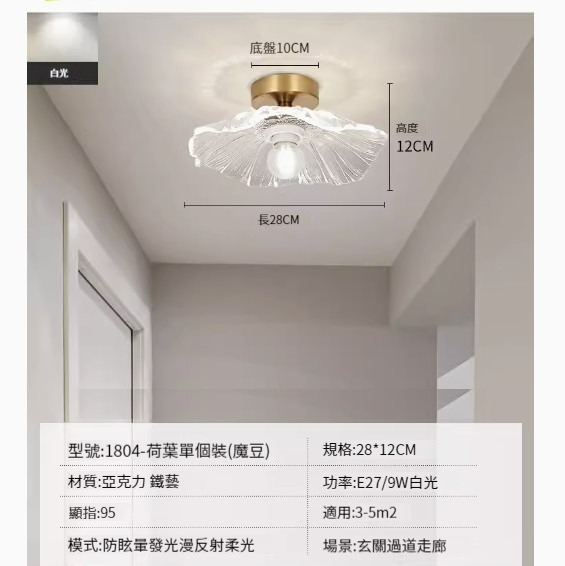 Popular simple ceiling lamp [Lotus Leaf-White Light-9W Magic Bean]