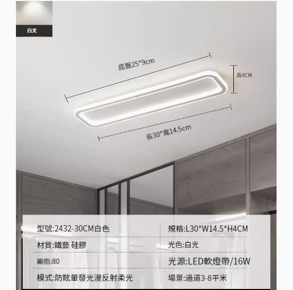Popular simple ceiling lamp [2432-white-30cm-16W-white light]