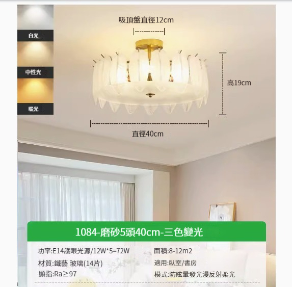Popular simple ceiling lamp [feather frosted 40cm-three colors 60W]