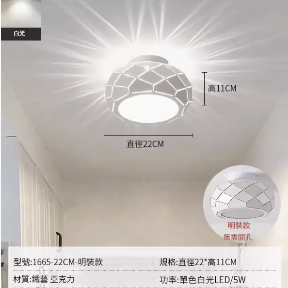 Hot recommended LED ceiling lamp [22cm-white light [surface mounted]]