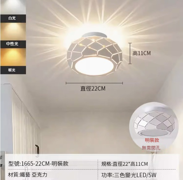 Hot recommended LED ceiling lamp [22cm-three-color dimming [surface mounted]]