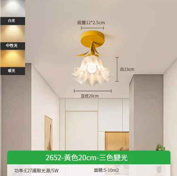 Hot recommended simple ceiling lamp [yellow 20cm-three-color dimming 5W]
