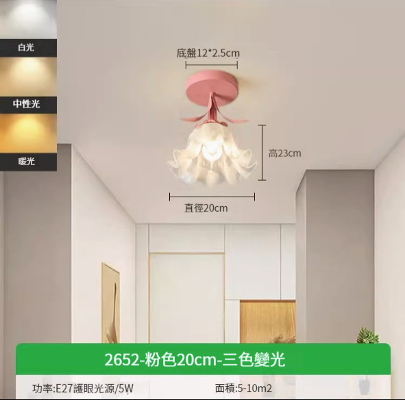 Hot recommended simple ceiling lamp [pink 20cm-three-color dimming 5W]