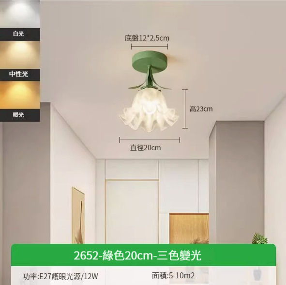 Hot recommended simple ceiling lamp [green 20cm-three-color dimming 12W]