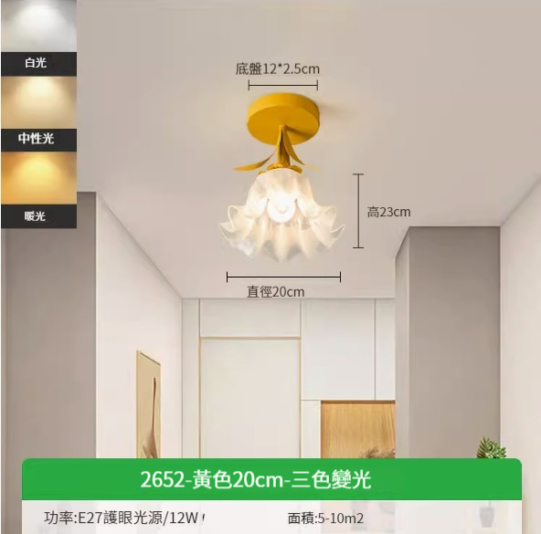 Hot recommended simple ceiling lamp [yellow 20cm-three-color dimming 12W]