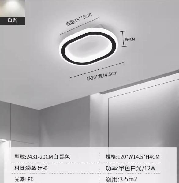 Hot recommended LED ceiling lamp [2431-black 20cm-12W-monochrome white light]